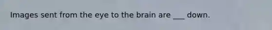 Images sent from the eye to the brain are ___ down.