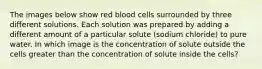 The images below show red blood cells surrounded by three different solutions. Each solution was prepared by adding a different amount of a particular solute (sodium chloride) to pure water. In which image is the concentration of solute outside the cells greater than the concentration of solute inside the cells?