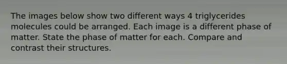 The images below show two different ways 4 triglycerides molecules could be arranged. Each image is a different phase of matter. State the phase of matter for each. Compare and contrast their structures.