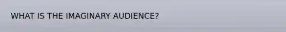 WHAT IS THE IMAGINARY AUDIENCE?