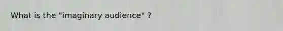 What is the "imaginary audience" ?