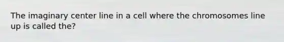 The imaginary center line in a cell where the chromosomes line up is called the?