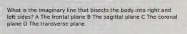 What is the imaginary line that bisects the body into right and left sides? A The frontal plane B The sagittal plane C The coronal plane D The transverse plane