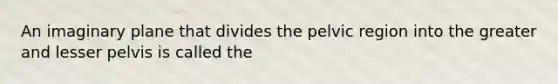 An imaginary plane that divides the pelvic region into the greater and lesser pelvis is called the