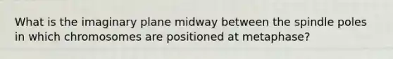 What is the imaginary plane midway between the spindle poles in which chromosomes are positioned at metaphase?