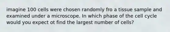 imagine 100 cells were chosen randomly fro a tissue sample and examined under a microscope. In which phase of the cell cycle would you expect ot find the largest number of cells?