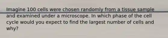 Imagine 100 cells were chosen randomly from a tissue sample and examined under a microscope. In which phase of the cell cycle would you expect to find the largest number of cells and why?