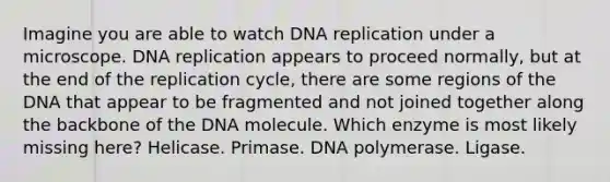 Imagine you are able to watch DNA replication under a microscope. DNA replication appears to proceed normally, but at the end of the replication cycle, there are some regions of the DNA that appear to be fragmented and not joined together along the backbone of the DNA molecule. Which enzyme is most likely missing here? Helicase. Primase. DNA polymerase. Ligase.