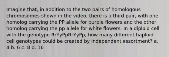 Imagine that, in addition to the two pairs of homologous chromosomes shown in the video, there is a third pair, with one homolog carrying the PP allele for purple flowers and the other homolog carrying the pp allele for white flowers. In a diploid cell with the genotype RrYyPpRrYyPp, how many different haploid cell genotypes could be created by independent assortment? a. 4 b. 6 c. 8 d. 16