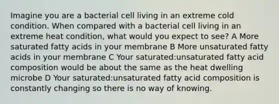 Imagine you are a bacterial cell living in an extreme cold condition. When compared with a bacterial cell living in an extreme heat condition, what would you expect to see? A More saturated fatty acids in your membrane B More unsaturated fatty acids in your membrane C Your saturated:unsaturated fatty acid composition would be about the same as the heat dwelling microbe D Your saturated:unsaturated fatty acid composition is constantly changing so there is no way of knowing.