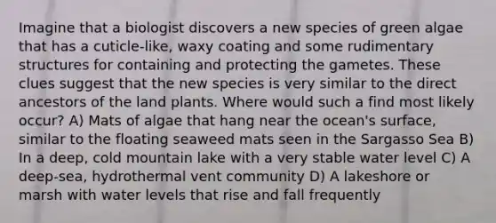 Imagine that a biologist discovers a new species of green algae that has a cuticle-like, waxy coating and some rudimentary structures for containing and protecting the gametes. These clues suggest that the new species is very similar to the direct ancestors of the land plants. Where would such a find most likely occur? A) Mats of algae that hang near the ocean's surface, similar to the floating seaweed mats seen in the Sargasso Sea B) In a deep, cold mountain lake with a very stable water level C) A deep-sea, hydrothermal vent community D) A lakeshore or marsh with water levels that rise and fall frequently