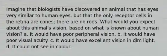 Imagine that biologists have discovered an animal that has eyes very similar to human eyes, but that the only receptor cells in the retina are cones; there are no rods. What would you expect about this animal's vision, based on what is known about human vision? a. It would have poor peripheral vision. b. It would have poor visual acuity. c. It would have excellent vision in dim light. d. It could not see in colour.