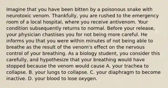 Imagine that you have been bitten by a poisonous snake with neurotoxic venom. Thankfully, you are rushed to the emergency room of a local hospital, where you receive antivenom. Your condition subsequently returns to normal. Before your release, your physician chastises you for not being more careful. He informs you that you were within minutes of not being able to breathe as the result of the venom's effect on the nervous control of your breathing. As a biology student, you consider this carefully, and hypothesize that your breathing would have stopped because the venom would cause A. your trachea to collapse. B. your lungs to collapse. C. your diaphragm to become inactive. D. your blood to lose oxygen.