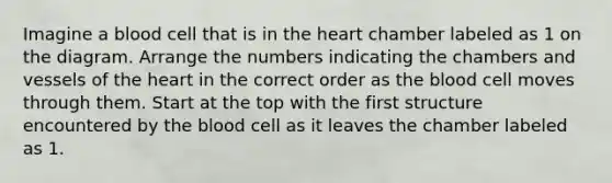 Imagine a blood cell that is in the heart chamber labeled as 1 on the diagram. Arrange the numbers indicating the chambers and vessels of the heart in the correct order as the blood cell moves through them. Start at the top with the first structure encountered by the blood cell as it leaves the chamber labeled as 1.