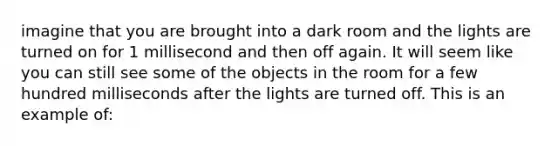 imagine that you are brought into a dark room and the lights are turned on for 1 millisecond and then off again. It will seem like you can still see some of the objects in the room for a few hundred milliseconds after the lights are turned off. This is an example of: