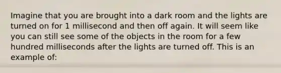 Imagine that you are brought into a dark room and the lights are turned on for 1 millisecond and then off again. It will seem like you can still see some of the objects in the room for a few hundred milliseconds after the lights are turned off. This is an example of: