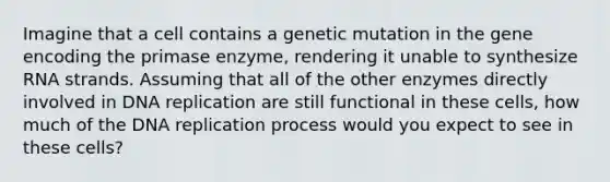 Imagine that a cell contains a genetic mutation in the gene encoding the primase enzyme, rendering it unable to synthesize RNA strands. Assuming that all of the other enzymes directly involved in DNA replication are still functional in these cells, how much of the DNA replication process would you expect to see in these cells?