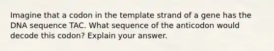 Imagine that a codon in the template strand of a gene has the DNA sequence TAC. What sequence of the anticodon would decode this codon? Explain your answer.