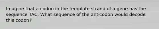 Imagine that a codon in the template strand of a gene has the sequence TAC. What sequence of the anticodon would decode this codon?
