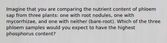 Imagine that you are comparing the nutrient content of phloem sap from three plants: one with root nodules, one with mycorrhizae, and one with neither (bare-root). Which of the three phloem samples would you expect to have the highest phosphorus content?