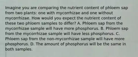 Imagine you are comparing the nutrient content of phloem sap from two plants: one with mycorrhizae and one without mycorrhizae. How would you expect the nutrient content of these two phloem samples to differ? A. Phloem sap from the mycorrhizae sample will have more phosphorus. B. Phloem sap from the mycorrhizae sample will have less phosphorus. C. Phloem sap from the non-mycorrhizae sample will have more phosphorus. D. The amount of phosphorus will be the same in both samples.