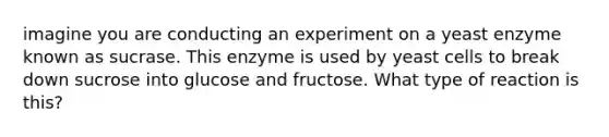 imagine you are conducting an experiment on a yeast enzyme known as sucrase. This enzyme is used by yeast cells to break down sucrose into glucose and fructose. What type of reaction is this?