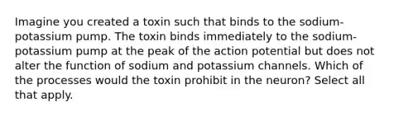 Imagine you created a toxin such that binds to the sodium-potassium pump. The toxin binds immediately to the sodium-potassium pump at the peak of the action potential but does not alter the function of sodium and potassium channels. Which of the processes would the toxin prohibit in the neuron? Select all that apply.