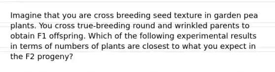 Imagine that you are cross breeding seed texture in garden pea plants. You cross true-breeding round and wrinkled parents to obtain F1 offspring. Which of the following experimental results in terms of numbers of plants are closest to what you expect in the F2 progeny?