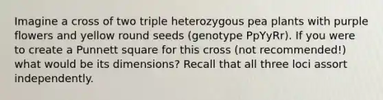 Imagine a cross of two triple heterozygous pea plants with purple flowers and yellow round seeds (genotype PpYyRr). If you were to create a Punnett square for this cross (not recommended!) what would be its dimensions? Recall that all three loci assort independently.