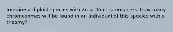 Imagine a diploid species with 2n = 36 chromosomes. How many chromosomes will be found in an individual of this species with a trisomy?