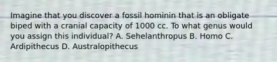 Imagine that you discover a fossil hominin that is an obligate biped with a cranial capacity of 1000 cc. To what genus would you assign this individual? A. Sehelanthropus B. Homo C. Ardipithecus D. Australopithecus