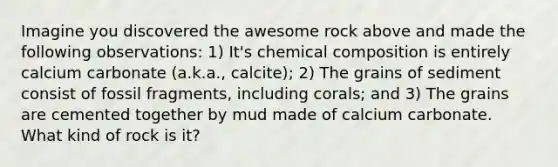 Imagine you discovered the awesome rock above and made the following observations: 1) It's chemical composition is entirely calcium carbonate (a.k.a., calcite); 2) The grains of sediment consist of fossil fragments, including corals; and 3) The grains are cemented together by mud made of calcium carbonate. What kind of rock is it?