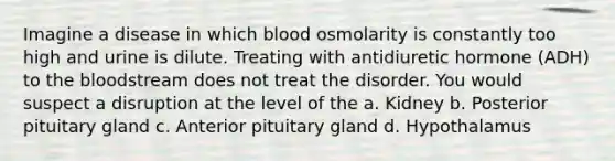 Imagine a disease in which blood osmolarity is constantly too high and urine is dilute. Treating with antidiuretic hormone (ADH) to the bloodstream does not treat the disorder. You would suspect a disruption at the level of the a. Kidney b. Posterior pituitary gland c. Anterior pituitary gland d. Hypothalamus