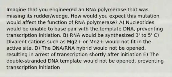 Imagine that you engineered an RNA polymerase that was missing its rudder/wedge. How would you expect this mutation would affect the function of RNA polymerase? A) Nucleotides would be unable to base pair with the template DNA, preventing transcription initiation. B) RNA would be synthesized 3' to 5' C) Divalent cations such as Mg2+ or Mn2+ would not fit in the active site. D) The DNA/RNA hybrid would not be opened, resulting in arrest of transcription shortly after initiation E) The double-stranded DNA template would not be opened, preventing transcription initiation