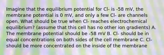 Imagine that the equilibrium potential for Cl- is -58 mV, the membrane potential is 0 mV, and only a few Cl- are channels open. What should be true when Cl- reaches electrochemical equilibrium? (assume that this cell has no other ion gradients) A. The membrane potential should be -58 mV B. Cl- should be in equal concentrations on both sides of the cell membrane C. Cl- should be more concentrated on the inside of the membrane