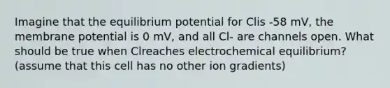 Imagine that the equilibrium potential for Clis -58 mV, the membrane potential is 0 mV, and all Cl- are channels open. What should be true when Clreaches electrochemical equilibrium? (assume that this cell has no other ion gradients)