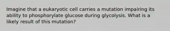 Imagine that a eukaryotic cell carries a mutation impairing its ability to phosphorylate glucose during glycolysis. What is a likely result of this mutation?