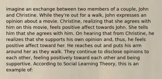 imagine an exchange between two members of a couple, John and Christine. While they're out for a walk, John expresses an opinion about a movie. Christine, realizing that she agrees with him on this movie, feels positive affect towards John. She tells him that she agrees with him. On hearing that from Christine, he realizes that she supports his own opinion and, thus, he feels positive affect toward her. He reaches out and puts his arm around her as they walk. They continue to disclose opinions to each other, feeling positively toward each other and being supportive. According to <a href='https://www.questionai.com/knowledge/kjLM2r9cAG-social-learning-theory' class='anchor-knowledge'>social learning theory</a>, this is an example of: