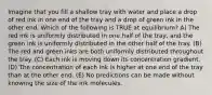 Imagine that you fill a shallow tray with water and place a drop of red ink in one end of the tray and a drop of green ink in the other end. Which of the following is TRUE at equilibrium? A) The red ink is uniformly distributed in one half of the tray, and the green ink is uniformly distributed in the other half of the tray. (B) The red and green inks are both uniformly distributed throughout the tray. (C) Each ink is moving down its concentration gradient. (D) The concentration of each ink is higher at one end of the tray than at the other end. (E) No predictions can be made without knowing the size of the ink molecules.