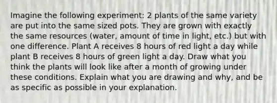 Imagine the following experiment: 2 plants of the same variety are put into the same sized pots. They are grown with exactly the same resources (water, amount of time in light, etc.) but with one difference. Plant A receives 8 hours of red light a day while plant B receives 8 hours of green light a day. Draw what you think the plants will look like after a month of growing under these conditions. Explain what you are drawing and why, and be as specific as possible in your explanation.