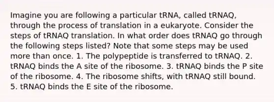 Imagine you are following a particular tRNA, called tRNAQ, through the process of translation in a eukaryote. Consider the steps of tRNAQ translation. In what order does tRNAQ go through the following steps listed? Note that some steps may be used more than once. 1. The polypeptide is transferred to tRNAQ. 2. tRNAQ binds the A site of the ribosome. 3. tRNAQ binds the P site of the ribosome. 4. The ribosome shifts, with tRNAQ still bound. 5. tRNAQ binds the E site of the ribosome.