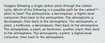 Imagine following a single carbon atom through the carbon cycle. Which of the following is a possible path for the carbon atom to take? The atmosphere; a decomposer; a higher-level consumer; then back to the atmosphere. The atmosphere; a decomposer; then back to the atmosphere. The atmosphere, a plant, a herbivore, a decomposer, then back to the atmosphere The atmosphere; a plant; an herbivore; another plant; then back to the atmosphere. The atmosphere; a plant; a higher-level consumer; then back to the atmosphere.