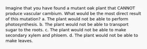 Imagine that you have found a mutant oak plant that CANNOT produce vascular cambium. What would be the most direct result of this mutation? a. The plant would not be able to perform photosynthesis. b. The plant would not be able to transport sugar to the roots. c. The plant would not be able to make secondary xylem and phloem. d. The plant would not be able to make leaves.