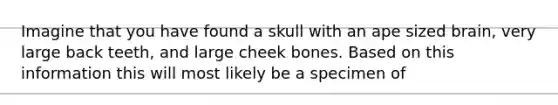 Imagine that you have found a skull with an ape sized brain, very large back teeth, and large cheek bones. Based on this information this will most likely be a specimen of