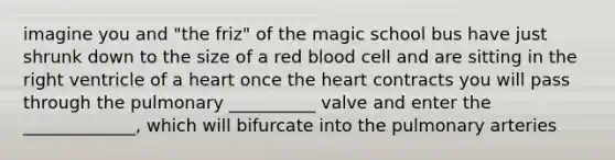 imagine you and "the friz" of the magic school bus have just shrunk down to the size of a red blood cell and are sitting in the right ventricle of a heart once the heart contracts you will pass through the pulmonary __________ valve and enter the _____________, which will bifurcate into the pulmonary arteries