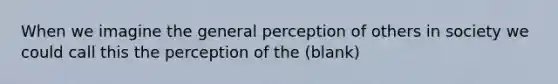 When we imagine the general perception of others in society we could call this the perception of the (blank)