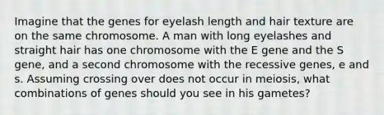 Imagine that the genes for eyelash length and hair texture are on the same chromosome. A man with long eyelashes and straight hair has one chromosome with the E gene and the S gene, and a second chromosome with the recessive genes, e and s. Assuming crossing over does not occur in meiosis, what combinations of genes should you see in his gametes?