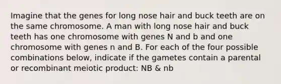 Imagine that the genes for long nose hair and buck teeth are on the same chromosome. A man with long nose hair and buck teeth has one chromosome with genes N and b and one chromosome with genes n and B. For each of the four possible combinations below, indicate if the gametes contain a parental or recombinant meiotic product: NB & nb