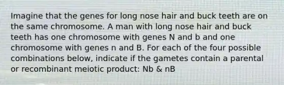 Imagine that the genes for long nose hair and buck teeth are on the same chromosome. A man with long nose hair and buck teeth has one chromosome with genes N and b and one chromosome with genes n and B. For each of the four possible combinations below, indicate if the gametes contain a parental or recombinant meiotic product: Nb & nB