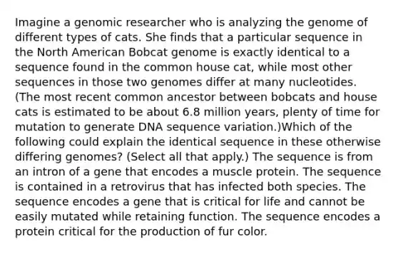 Imagine a genomic researcher who is analyzing the genome of different types of cats. She finds that a particular sequence in the North American Bobcat genome is exactly identical to a sequence found in the common house cat, while most other sequences in those two genomes differ at many nucleotides. (The most recent common ancestor between bobcats and house cats is estimated to be about 6.8 million years, plenty of time for mutation to generate DNA sequence variation.)Which of the following could explain the identical sequence in these otherwise differing genomes? (Select all that apply.) The sequence is from an intron of a gene that encodes a muscle protein. The sequence is contained in a retrovirus that has infected both species. The sequence encodes a gene that is critical for life and cannot be easily mutated while retaining function. The sequence encodes a protein critical for the production of fur color.